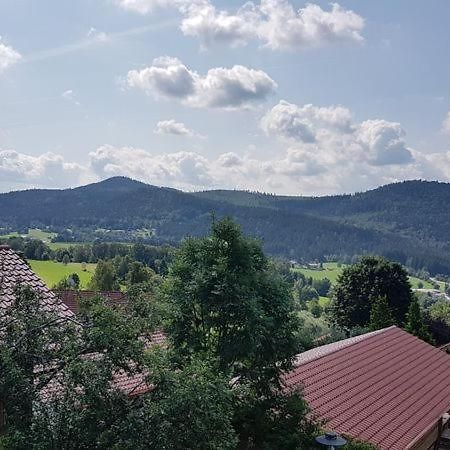 Ferienwohnung Laura Haus Weberfeld 4 Bodenmais Exteriör bild